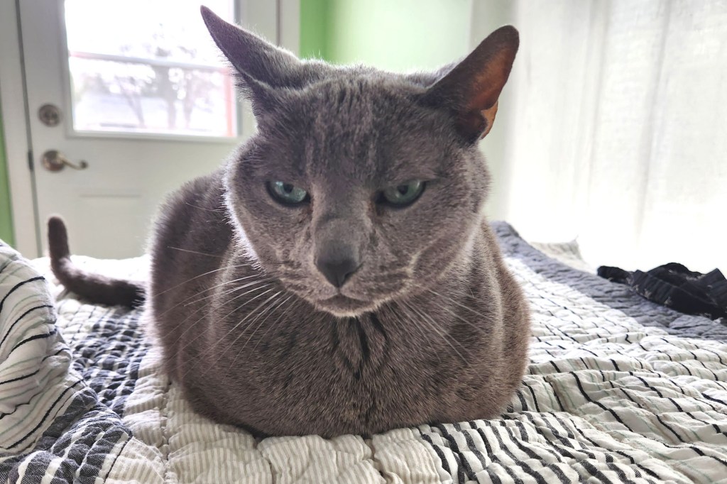 April WIPs (and slowing&nbsp;down)